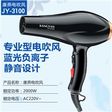 康燕吹风3100【2000W】专业